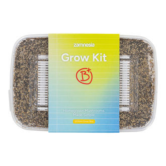 Growkit Zamnesia „B+”