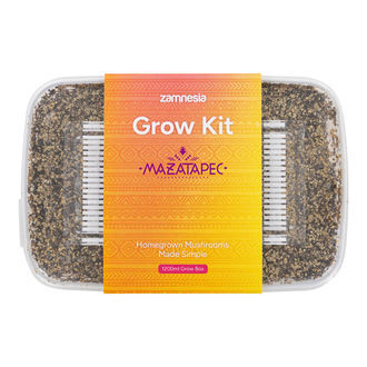 Growkit Zamnesia „Mazatapec”