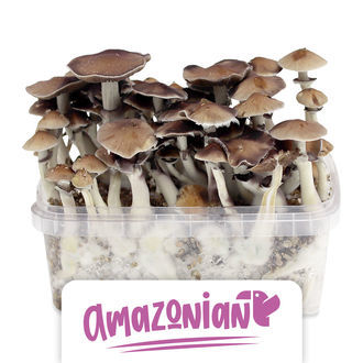 Growkit Zamnesia „PES Amazonian”