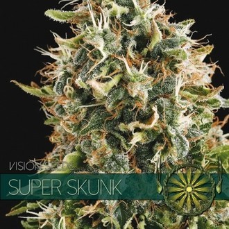 Super Skunk (Vision Seeds) feminizowane