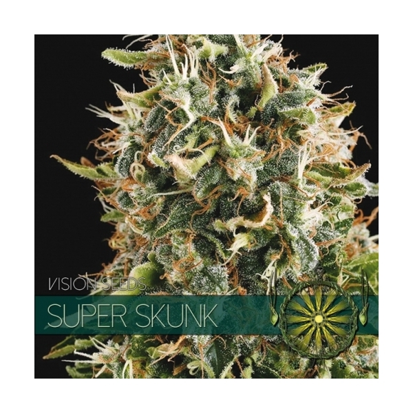 Super Skunk (Vision Seeds) feminizowane