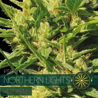 Northern Lights Automat (Vision Seeds) feminizowane