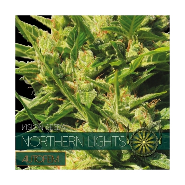 Northern Lights Automat (Vision Seeds) feminizowane