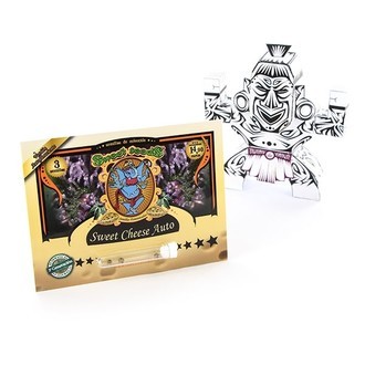 Sweet Cheese Automat (Sweet Seeds) feminizowane