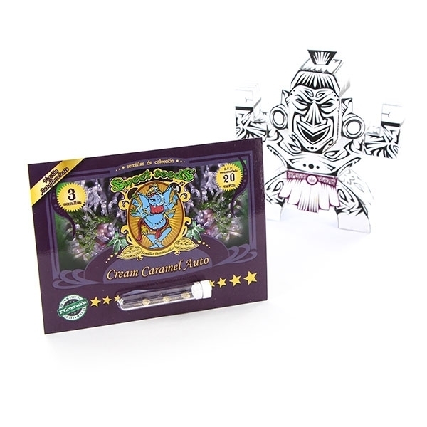 Cream Caramel Auto (Sweet Seeds) feminizowane