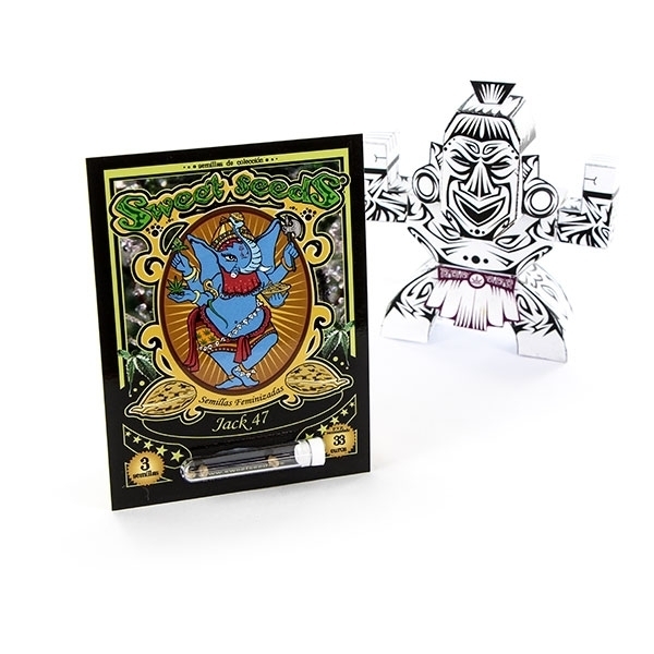 Jack 47 (Sweet Seeds) feminizowane