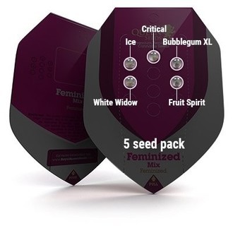 Mix feminizowany (Royal Queen Seeds)