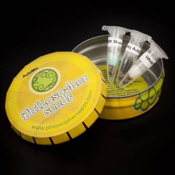 Auto Mix (Philosopher Seeds) nasiona marihuany feminizowane