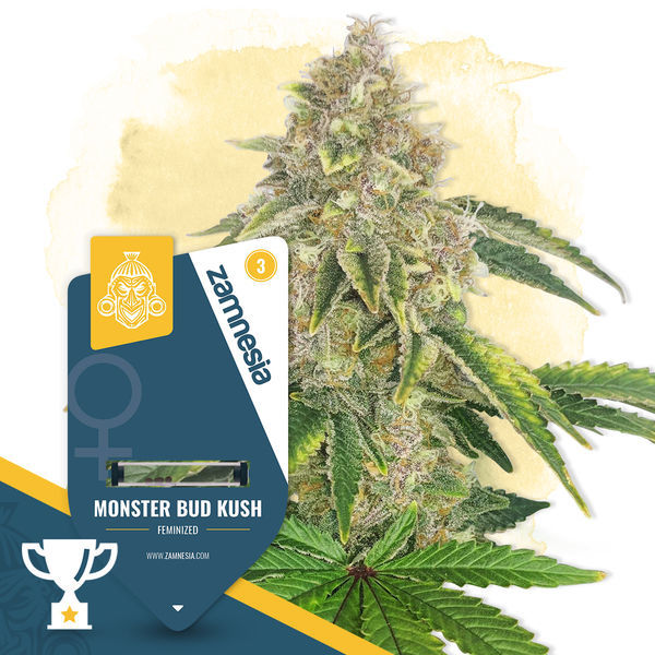Monster Bud Kush (Zamnesia Seeds) feminizowane
