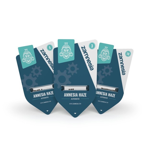 Amnesia Haze Automat (Zamnesia Seeds) feminizowane