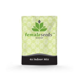 Indoor Mix (Female Seeds) feminizowane