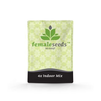 Indoor Mix (Female Seeds) feminizowane