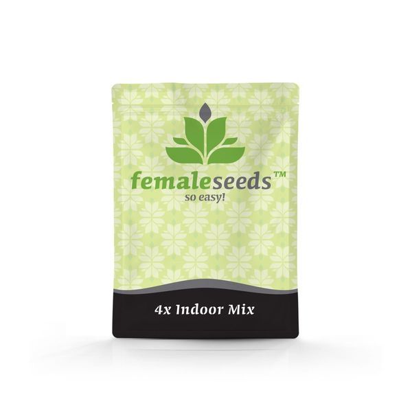 Indoor Mix (Female Seeds) feminizowane