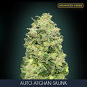 Auto Afghan Skunk (Advanced Seeds) feminizowane
