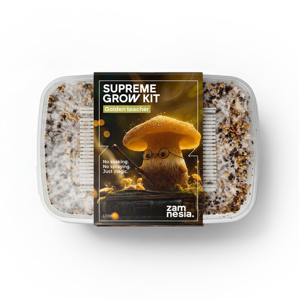 Zestaw do uprawy Zamnesia SUPREME „Golden Teacher”