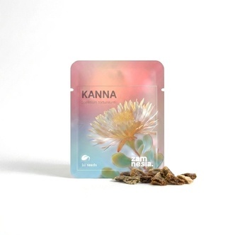 Kanna (Sceletium tortuosum) 10 nasion