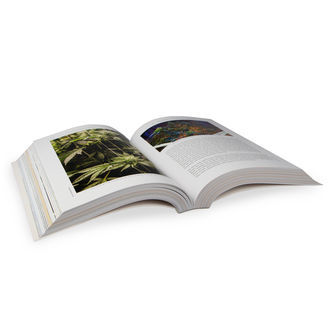 Biblia uprawy konopi (angielski – wydanie 3)