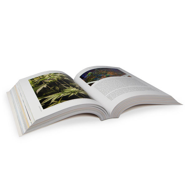 Biblia uprawy konopi (angielski – wydanie 3)