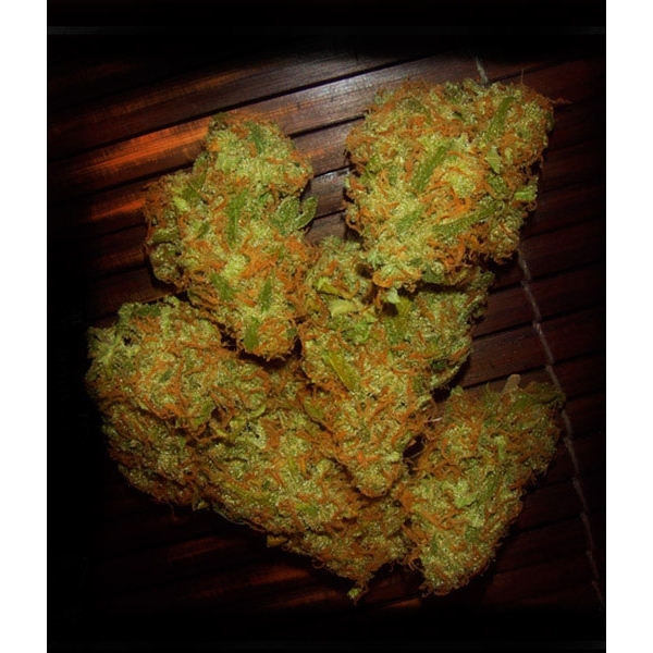 Amnezia VIP (VIP Seeds) feminizowane