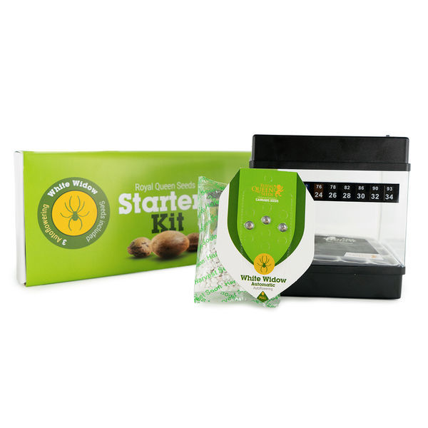 Zestaw startowy Royal Queen Seeds