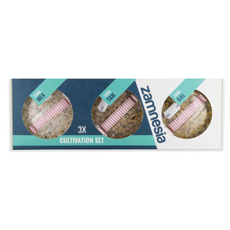 Zestaw do uprawy Magicznych Trufli Zamnesia