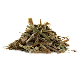 Dziurawiec zwyczajny