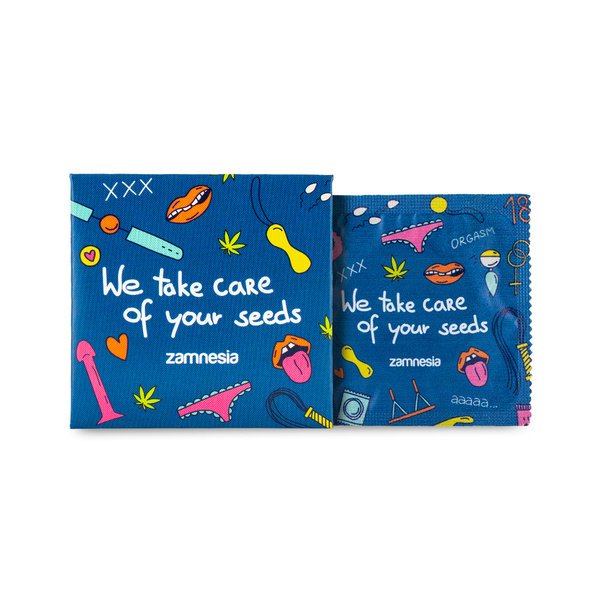 Prezerwatywa Zamnesia (1 sztuka)