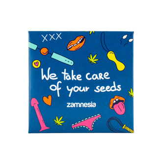 Prezerwatywa Zamnesia (1 sztuka)