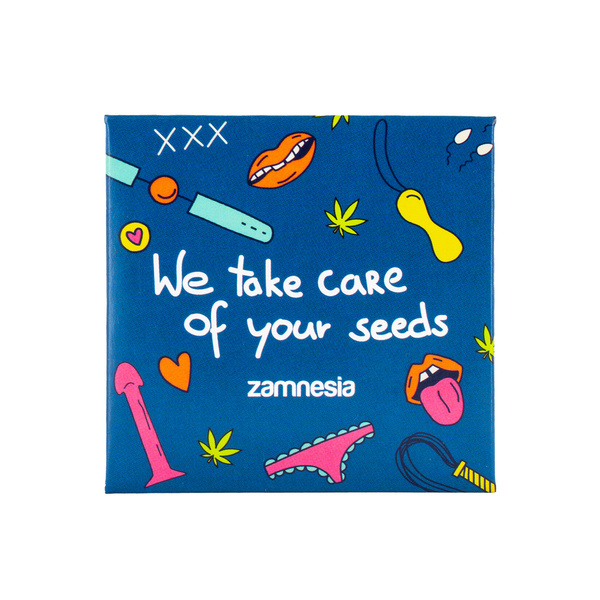 Prezerwatywa Zamnesia (1 sztuka)