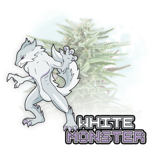 White Monster Automat (Zamnesia Seeds) feminizowane