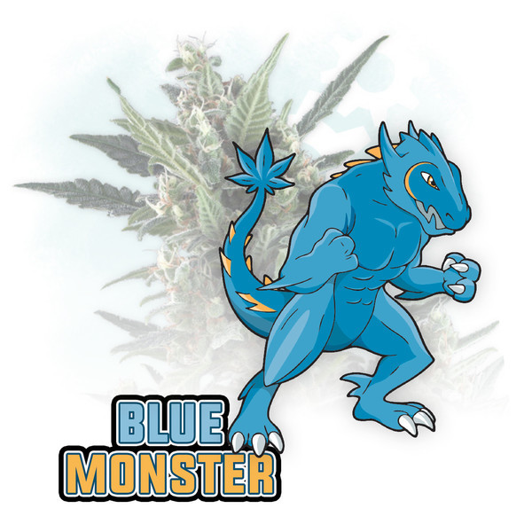 Blue Monster Automat (Zamnesia Seeds) feminizowane