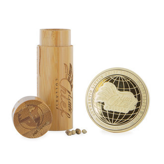 Tangie Ghost Train (Little Chief Collabs) feminizowane