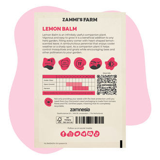 Melisa lekarska (Melissa officinalis) – Zestaw Buddy