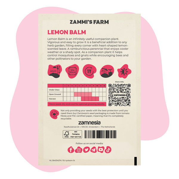 Melisa lekarska (Melissa officinalis) – Zestaw Buddy