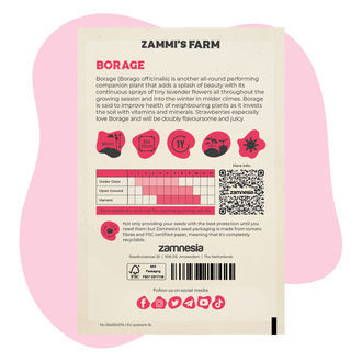 Ogórecznik lekarski (Borago officinalis) – pakiet "Buddy Pack"