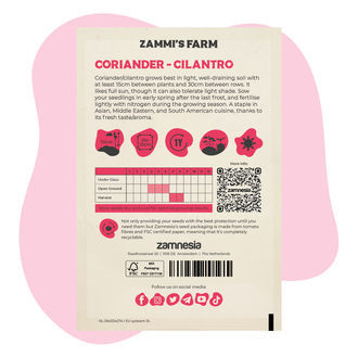 Kolendra (Coriandrum sativum) Zestaw Buddy