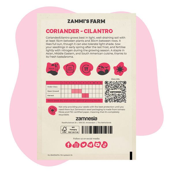 Kolendra (Coriandrum sativum) Zestaw Buddy