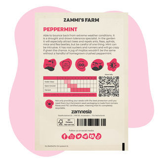 Miętowy zestaw przyjaciela (Mentha piperita)