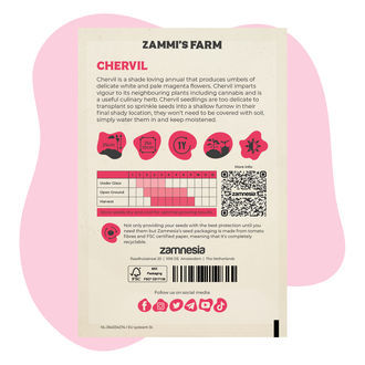 Trybula ogrodowa (Anthriscus cerefolium) – Zestaw Buddy