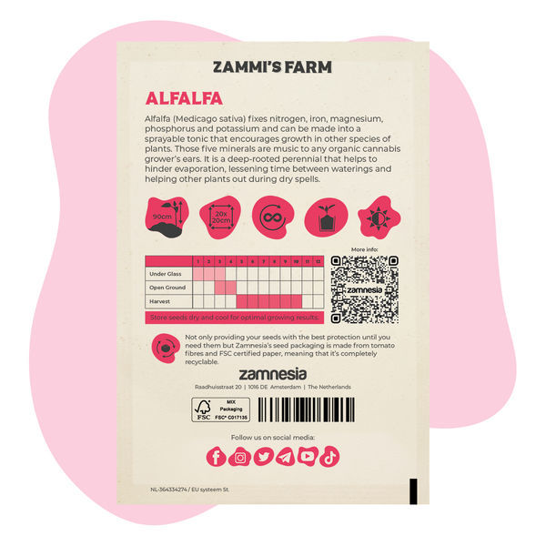 Pakiet Przyjaciela lucerny (Medicago sativa)