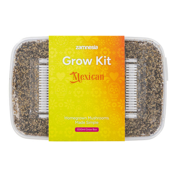 Growkit Zamnesia „Mexican”