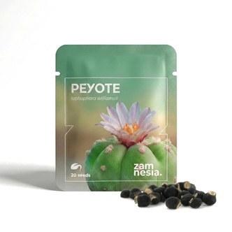 Peyotl (Lophophora williamsii) 20 nasion