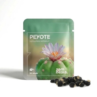 Peyotl (Lophophora williamsii) 20 nasion