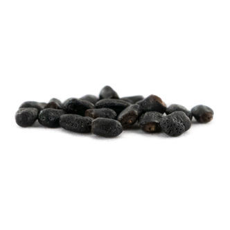 Bolivian Torch (Echinopsis lageniformis) 20 nasion