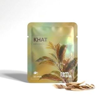 Khat (Catha edulis) 10 nasion