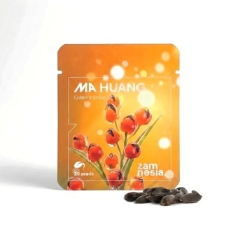 Ma Huang Seeds (Ephedra sinica) 20 Nasion