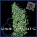 Llimonet Haze Classic THC (Elite Seeds) feminizowane