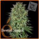 Bestial Skunk (Elite Seeds) feminizowane