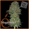 Meganuska (Elite Seeds) feminizowane
