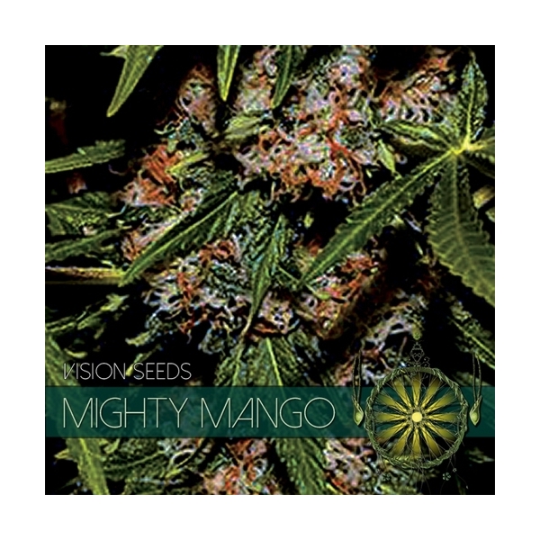 Mighty Mango Bud (Vision Seeds) feminizowane